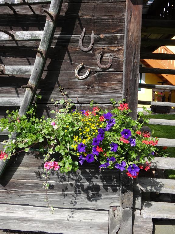 Landhaus Tippl Aigen im Ennstal Exterior foto
